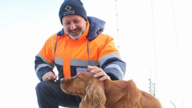 Kayseri Kocasinan’dan can dostlara yem desteği