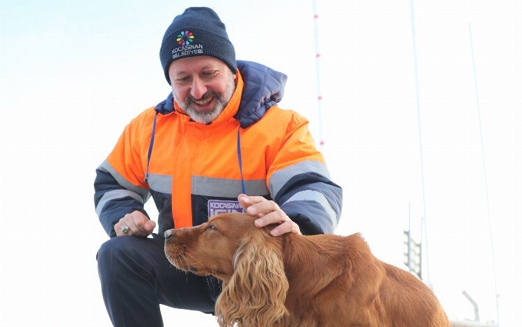 Kayseri Kocasinan’dan can dostlara yem desteği