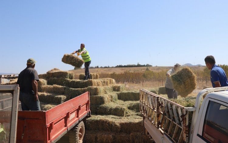 Üreticilere balya balya destek