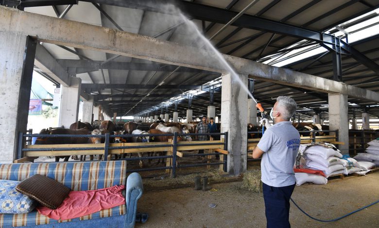 Bursa Osmangazi’de hayvan satış yerlerinde karasinek ilaçlaması Bursa Osmangazi’de hayvan satış yerlerinde karasinek ilaçlaması