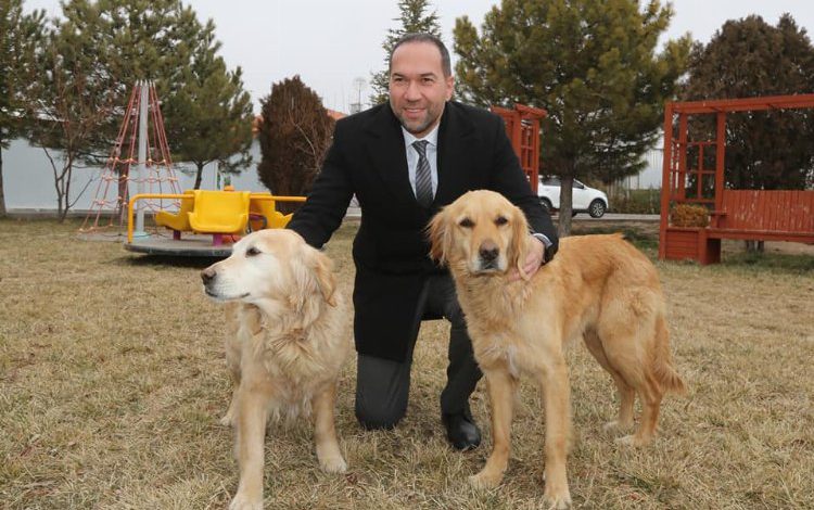 Sokaklara terk edilen hayvanlara Niğde Belediyesi sahip çıkıyor