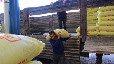 Kocaeli’den çiftçilere yüzde 50 hibeli gübre desteği