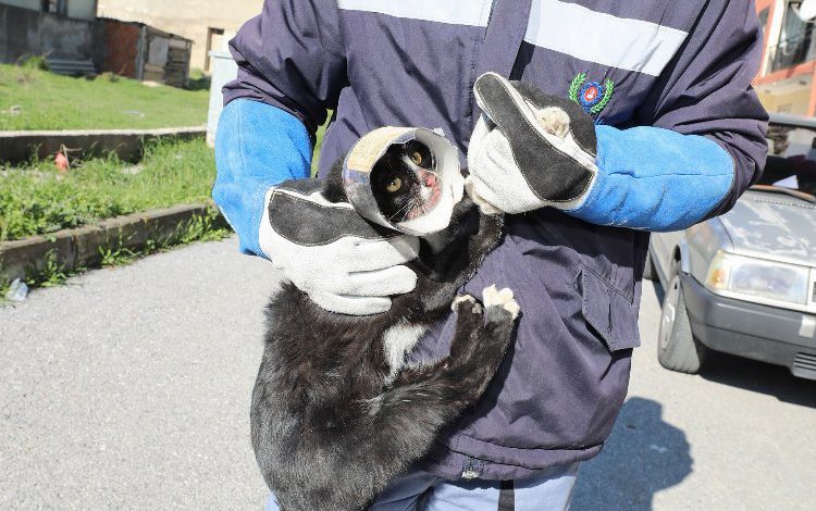 Başı sıkışan can dosta yardım eli