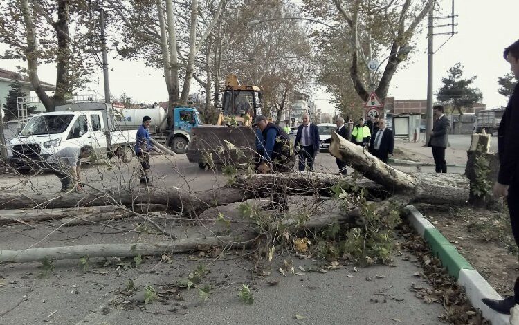 Bursa’da lodos Yenişehir’de de etkili oldu Bursa’da lodos Yenişehir’de de etkili oldu