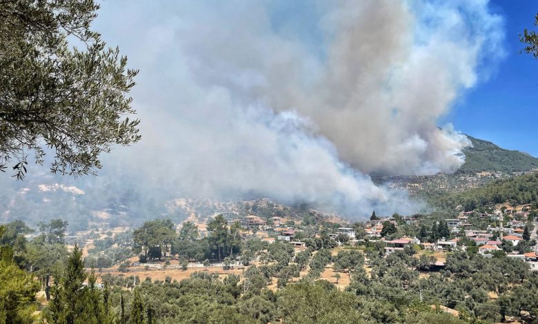 189 yangından 174’ü kontrol altında 189 yangından 174’ü kontrol altında