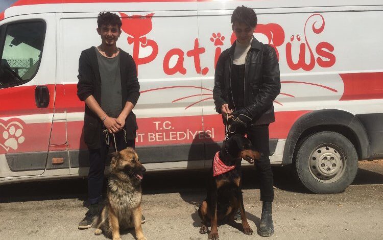 Patibüs deprem bölgesinde can dostların yanında