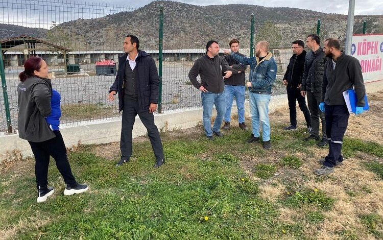 Kütahya’da sokak hayvanlarına belediye şefkati Kütahya’da sokak hayvanlarına belediye şefkati