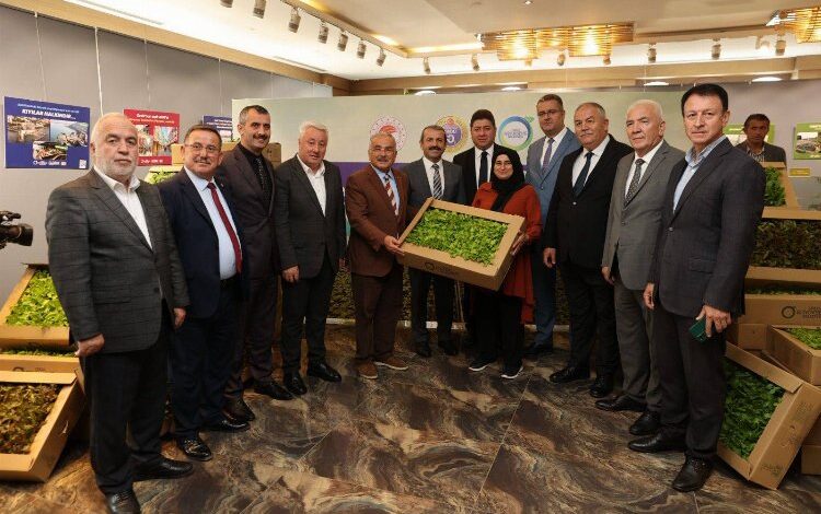 Belediye üretti, çiftçi dikecek Belediye üretti, çiftçi dikecek