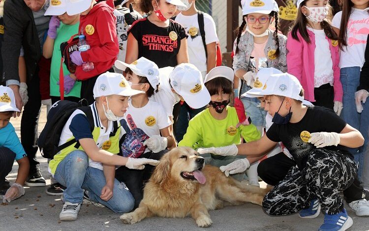 Kayseri Talas’tan can dostlara Pati Evi Kayseri Talas’tan can dostlara Pati Evi