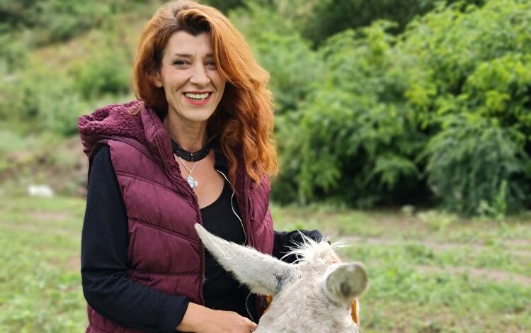 HAYDİKO’dan destek çağrısı