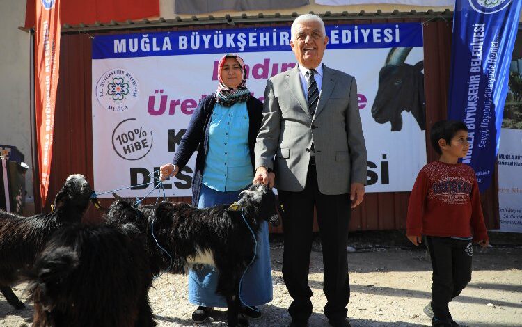 Muğla ‘Kıl Keçisi’ desteğini sürdürüyor Muğla ‘Kıl Keçisi’ desteğini sürdürüyor