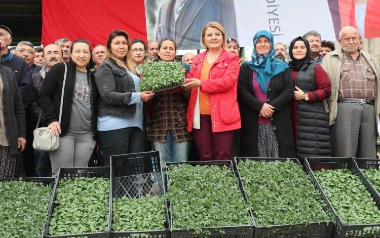 İzmit’te sebze üretmeyen köy kalmayacak İzmit’te sebze üretmeyen köy kalmayacak
