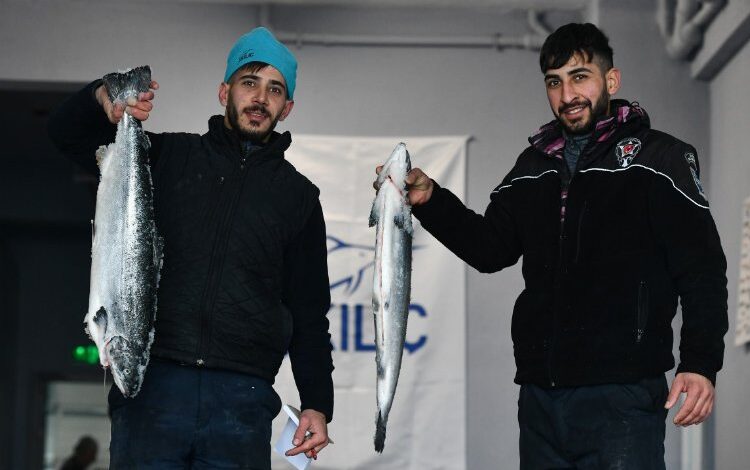 Ankaralılar en çok palamut tüketti Ankaralılar en çok palamut tüketti