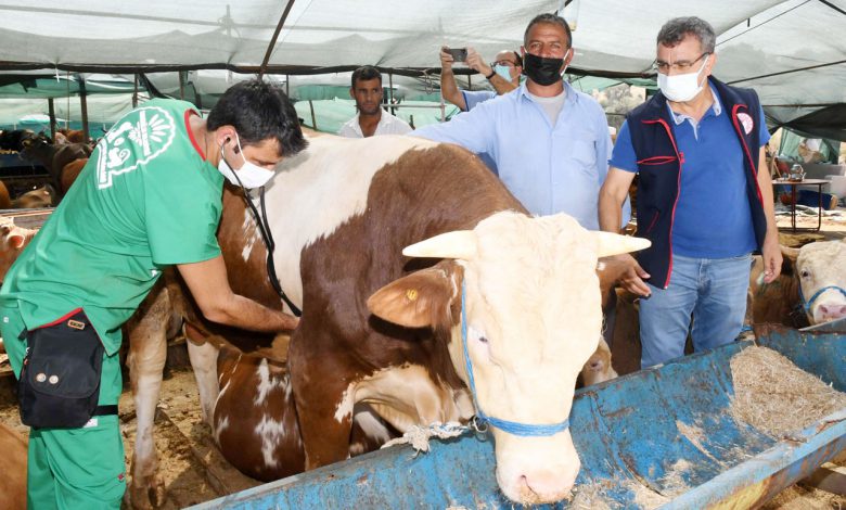 İzmir Karabağlar’da bayram öncesi denetim ve bilinçlendirme İzmir Karabağlar’da bayram öncesi denetim ve bilinçlendirme