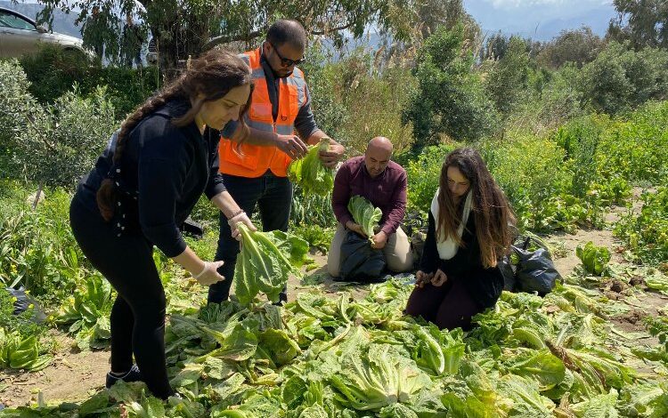‘Tarıma destek ol Hatay’ hayata geçirildi