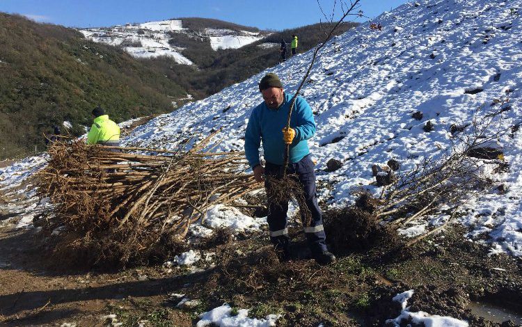 Kocaeli bal ormanında ağaç dikimi devam ediyor Kocaeli bal ormanında ağaç dikimi devam ediyor