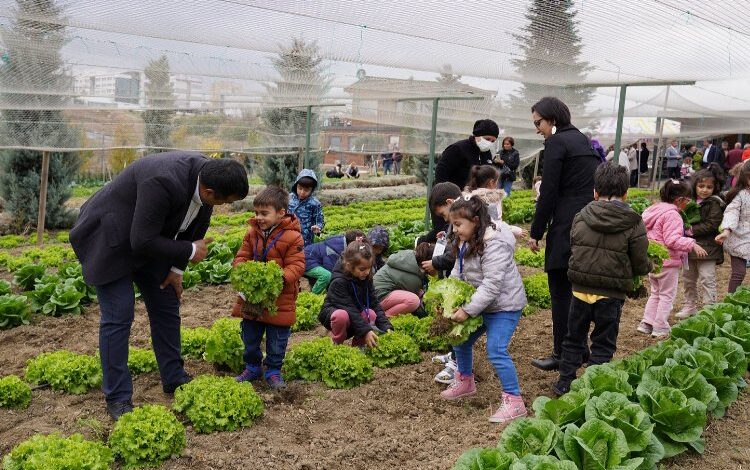 İstanbul Beylikdüzü’nde kış hasadı