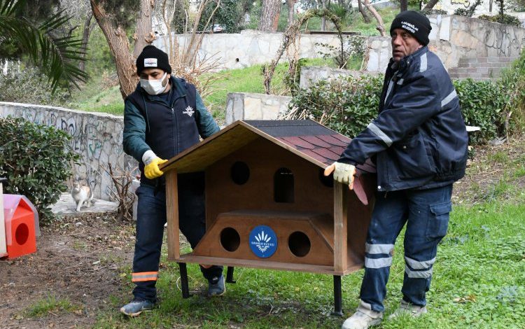 İzmir Karabağlar’da parklara kedi evleri yerleştiriliyor İzmir Karabağlar’da parklara kedi evleri yerleştiriliyor