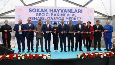 Sokak Hayvanları Geçici Bakımevi hizmete açıldı