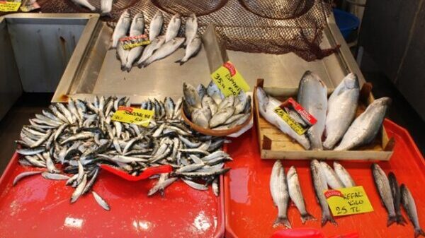 Kocaeli’de balık fiyatları zirveye koşuyor