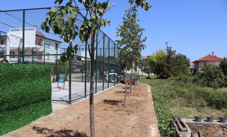 Kocaeli’de Çubuklubala Parkı yeşillendi Kocaeli’de Çubuklubala Parkı yeşillendi