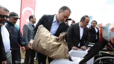 Milli ayçiçekleri Silivri’ye ekiliyor