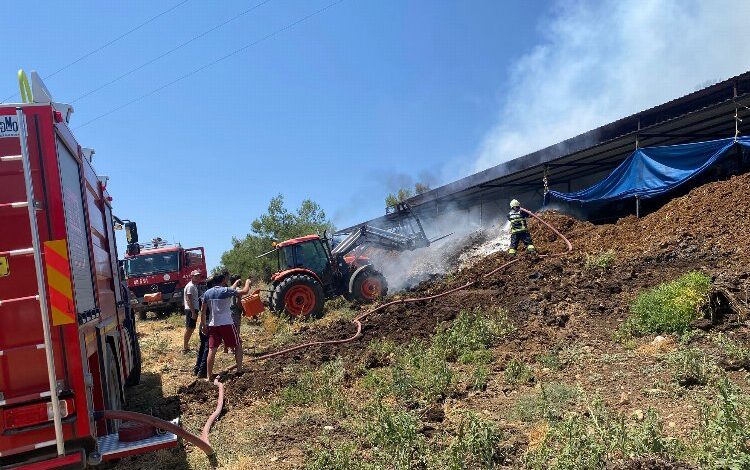 Muğla’da yangından etkilenen hayvanlara müdahale