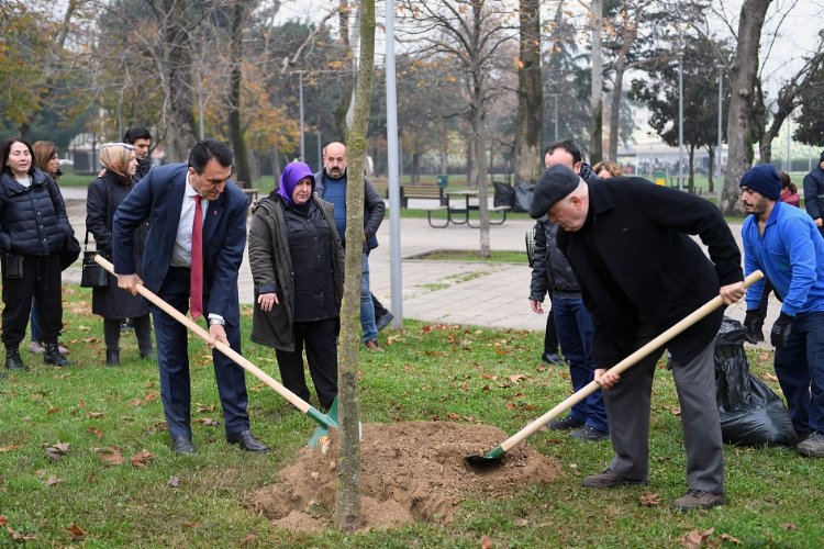 Bursa’da lodos yıktı Osmangazi Belediyesi yeşertiyor