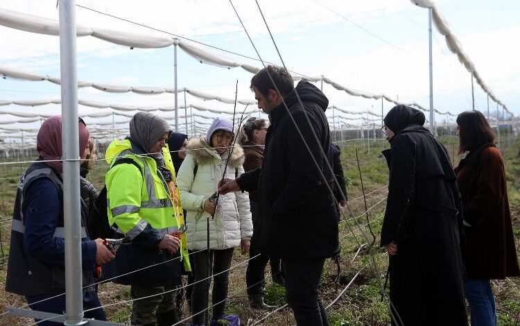 Sakarya’da Büyükşehir çalışanlarına tarımsal eğitim Sakarya’da Büyükşehir çalışanlarına tarımsal eğitim
