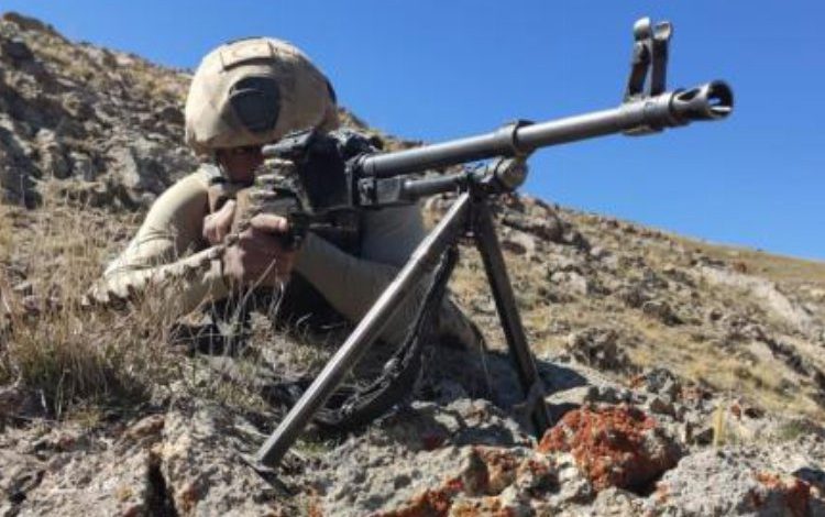 Komandolar hainleri vurdu