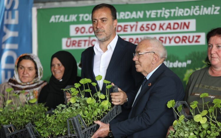 Silivri atalık tohumlardan yetiştirilen binlerce fide dağıttı