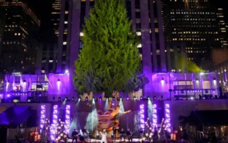 Noel ağacı ışıklandırma töreninde Filistin protestosu!