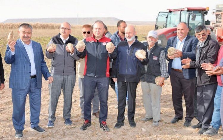 Kayseri Kocasinan’da şeker pancarı hasadı yapıldı Kayseri Kocasinan’da şeker pancarı hasadı yapıldı