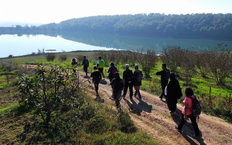 Sakarya’da doğa tutkunları sonbaharın tonlarını keşfetti Sakarya’da doğa tutkunları sonbaharın tonlarını keşfetti