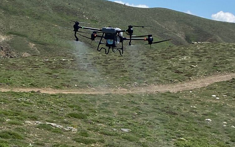 Manisa Salihli’de çekirgelere havadan mücadele Manisa Salihli’de çekirgelere havadan mücadele