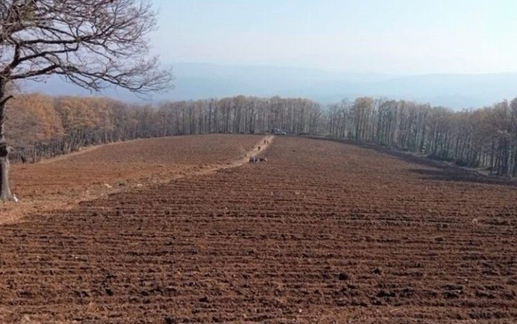 Bursa’da Mustafakemalpaşa ‘maviyemiş’ üssü olacak