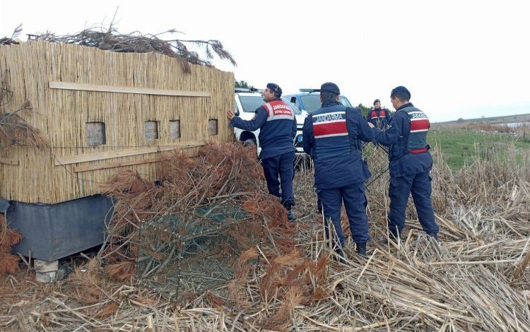 Edirne Jandarması’ndan yasak avcılık operasyonu! Edirne Jandarması’ndan yasak avcılık operasyonu!