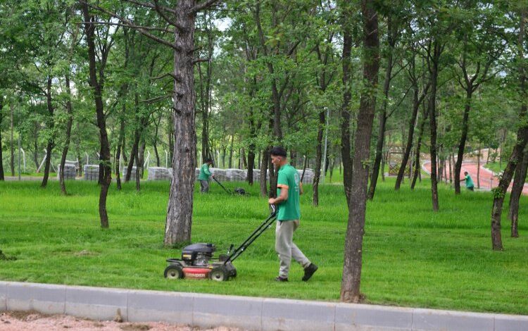 Bursa Yıldırım’da ‘yeşil’ hamle Bursa Yıldırım’da ‘yeşil’ hamle