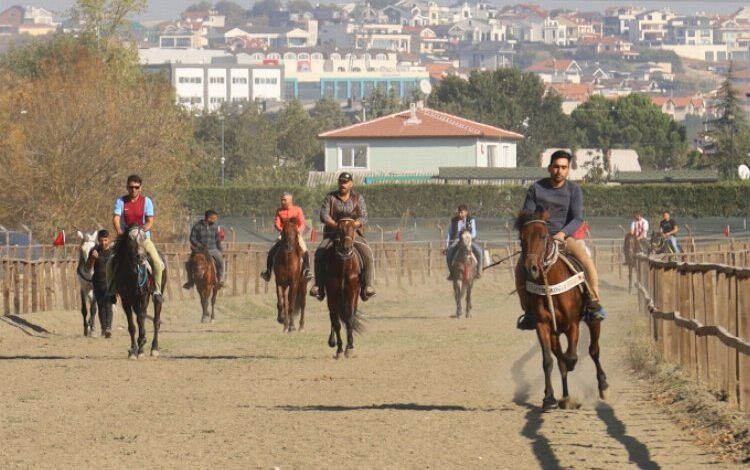 Rahvan atları Bursa’da şampiyonluğa koştu Rahvan atları Bursa’da şampiyonluğa koştu