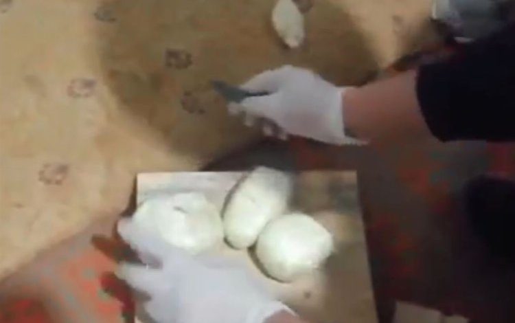 Adıyaman Kahta’da narkotik operasyonu: 1 tutuklama