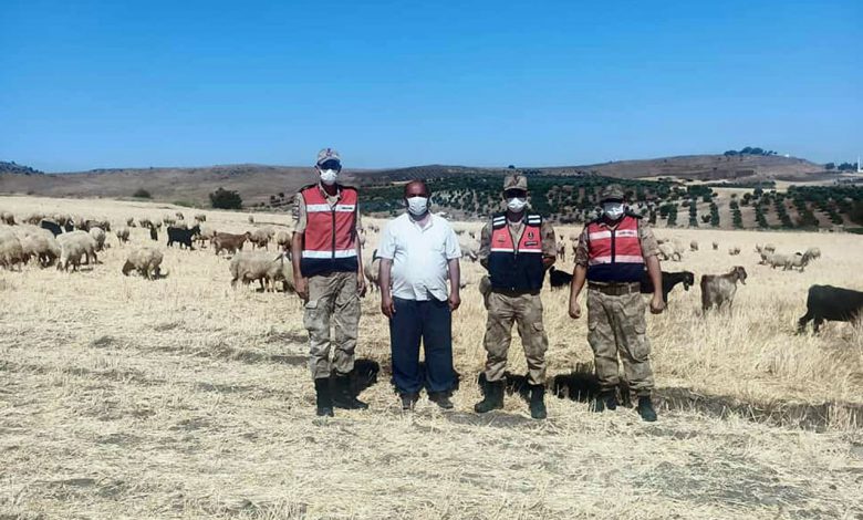 Kilis’te kayıp çoban ve hayvanları JASAT buldu Kilis’te kayıp çoban ve hayvanları JASAT buldu