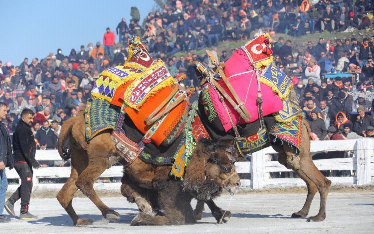 İzmir Efes’te 40 yılın güreşlerine yoğun ilgi