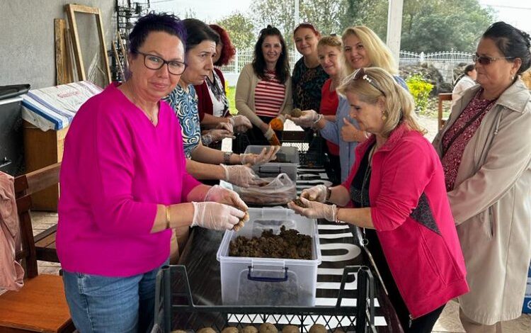 İzmit’in Yaşam Bahçesi’nde permakültür eğitimlerine devam