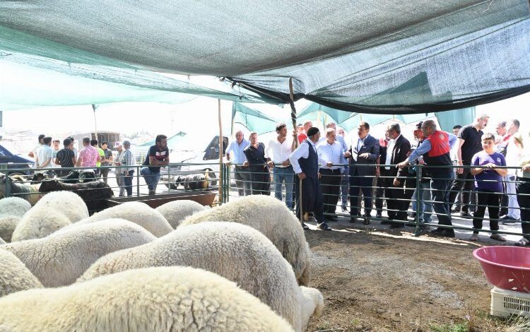 Başkan Gürkan canlı hayvan pazarında