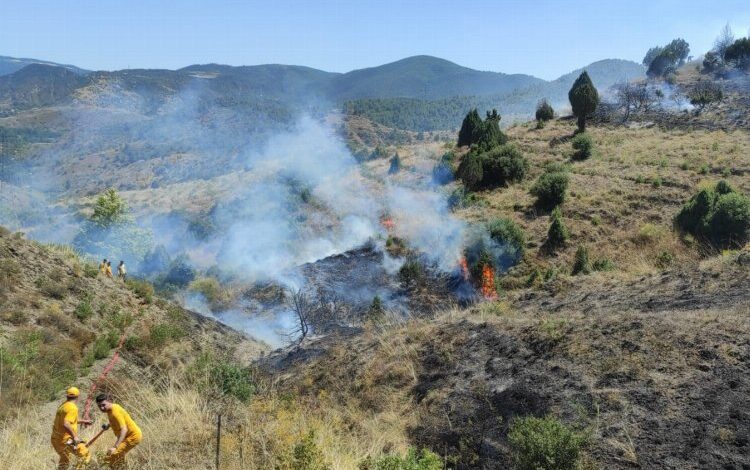 Bilecik Abbaslık’ta orman yangını kontrol altında