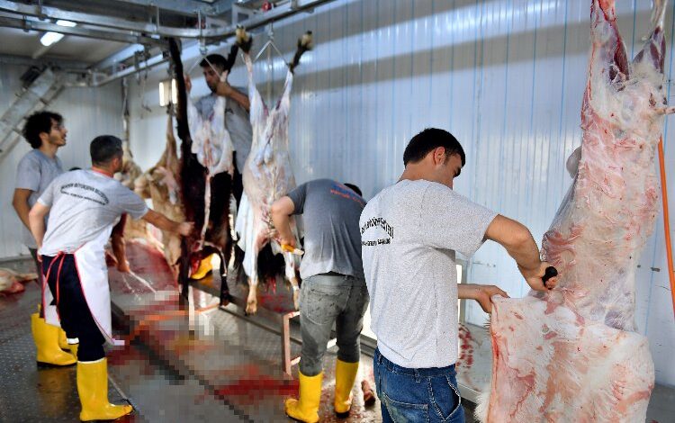 Mobil mezbahalarla kurbanlıklar belediyeye emanet Mobil mezbahalarla kurbanlıklar belediyeye emanet