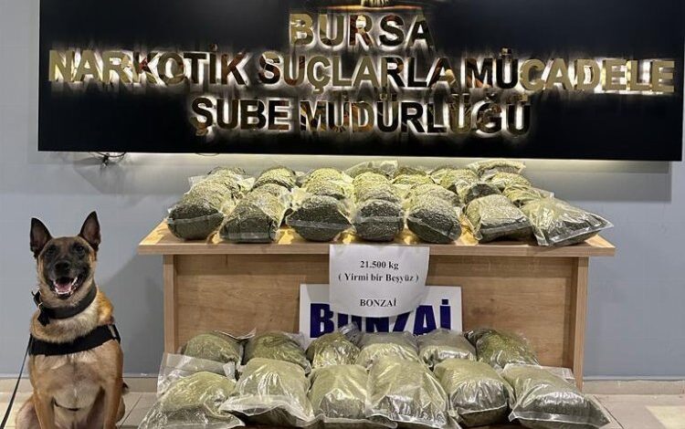 Bursa polisinden uyuşturucu ile mücadelede 188 gözaltı! Bursa polisinden uyuşturucu ile mücadelede 188 gözaltı!