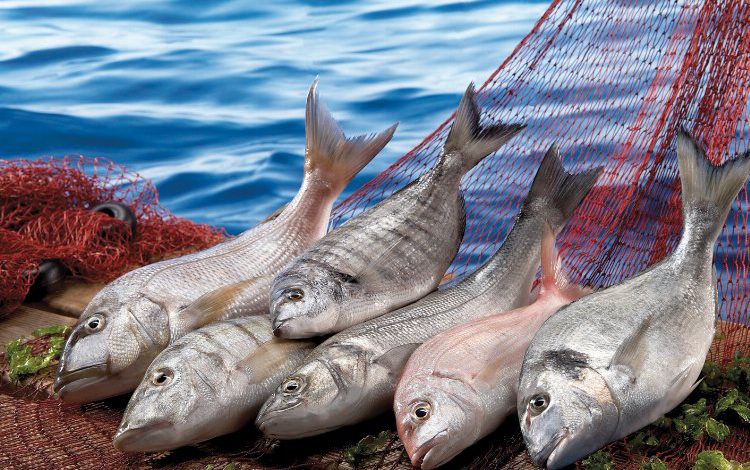 Türk su ürünleri 2023 hedefini aştı