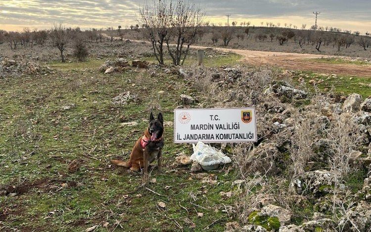 Dargeçit’te 25 kg tuzaklanmış patlayıcı ele geçirildi Dargeçit’te 25 kg tuzaklanmış patlayıcı ele geçirildi