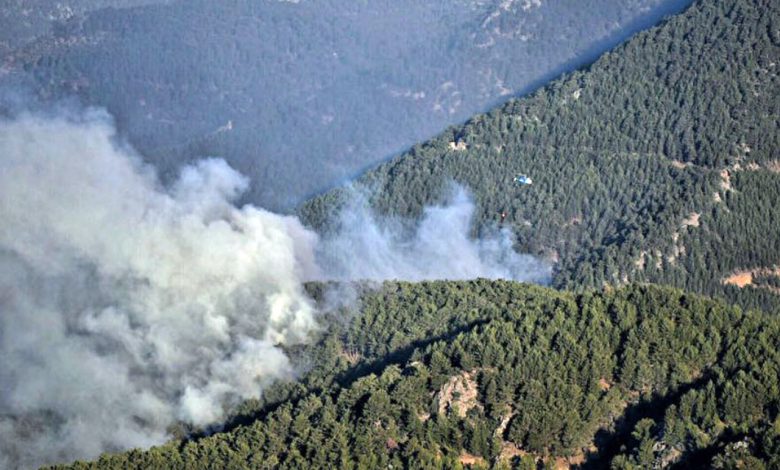 Orman yangınlarına müdahale sürüyor